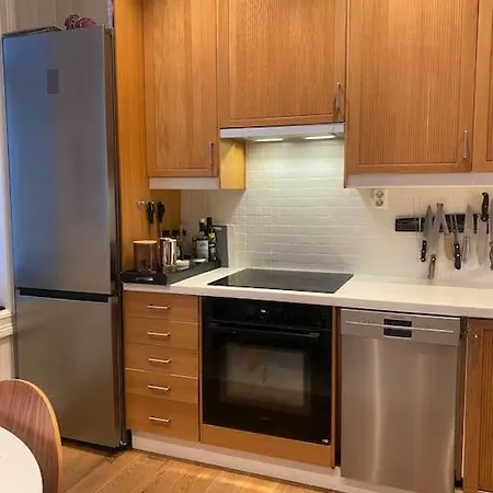 Lovely Two Bedroom Flat In Central Oslo